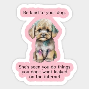 Maltipoo Be Kind To Your Dog. She’s Seen You Do Things You Don't Want Leaked On The Internet. Sticker